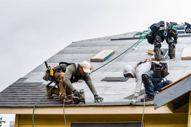 Professional Gutter Installation technician working in New Prague, MN